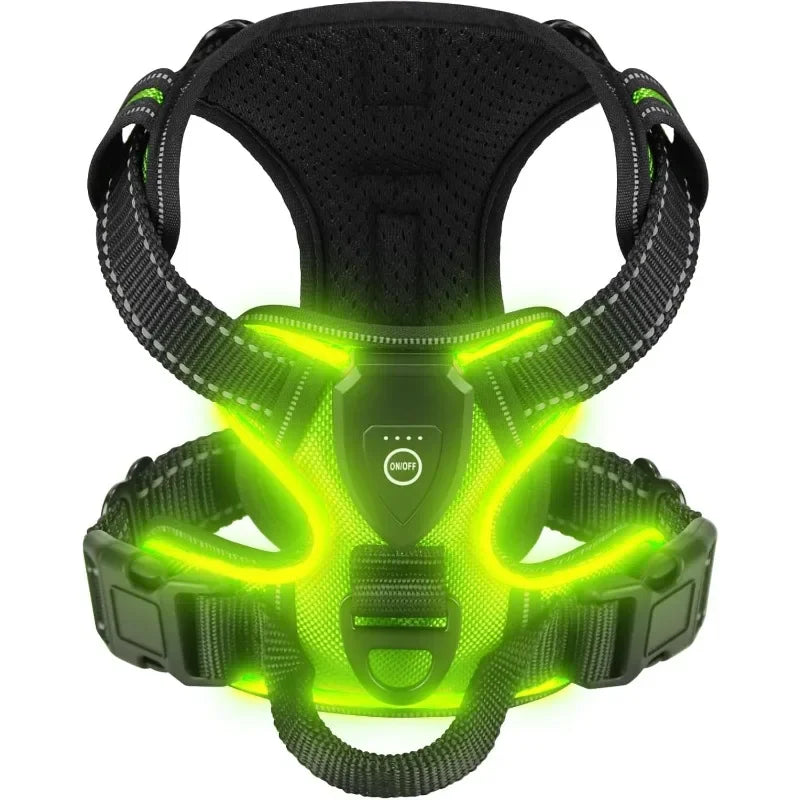 LED Dog Walking Harness