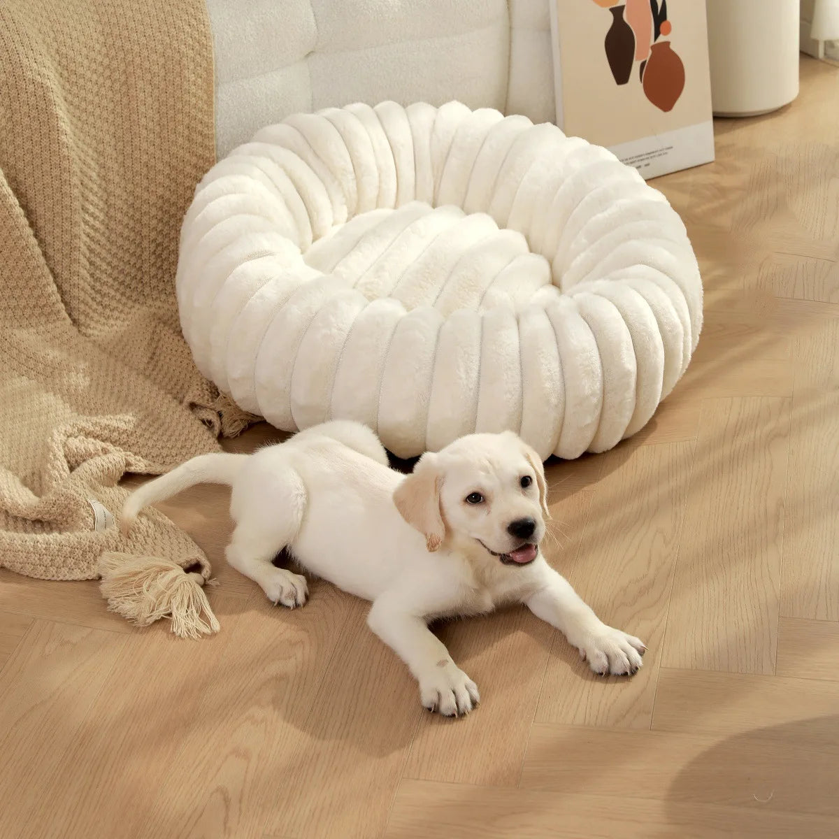 Round Plush Pet Bed