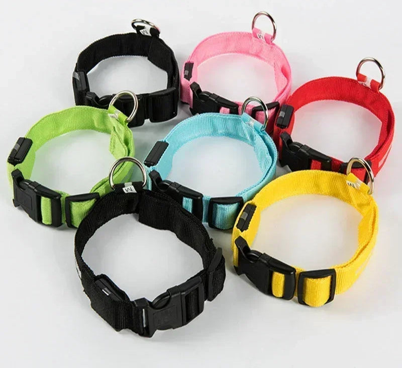 LED Dog Collar