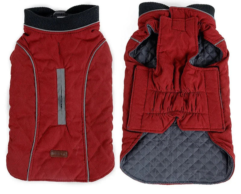Quilted Outdoor Dog Jacket