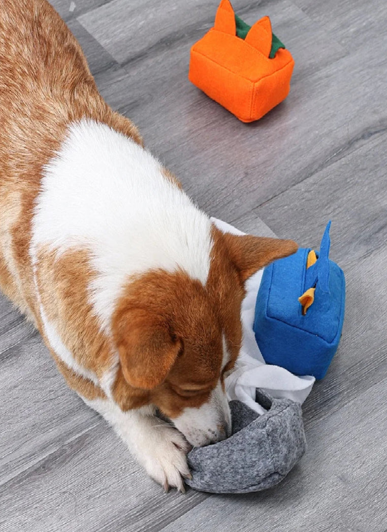 Dog Snuffle Tissue Box Toy