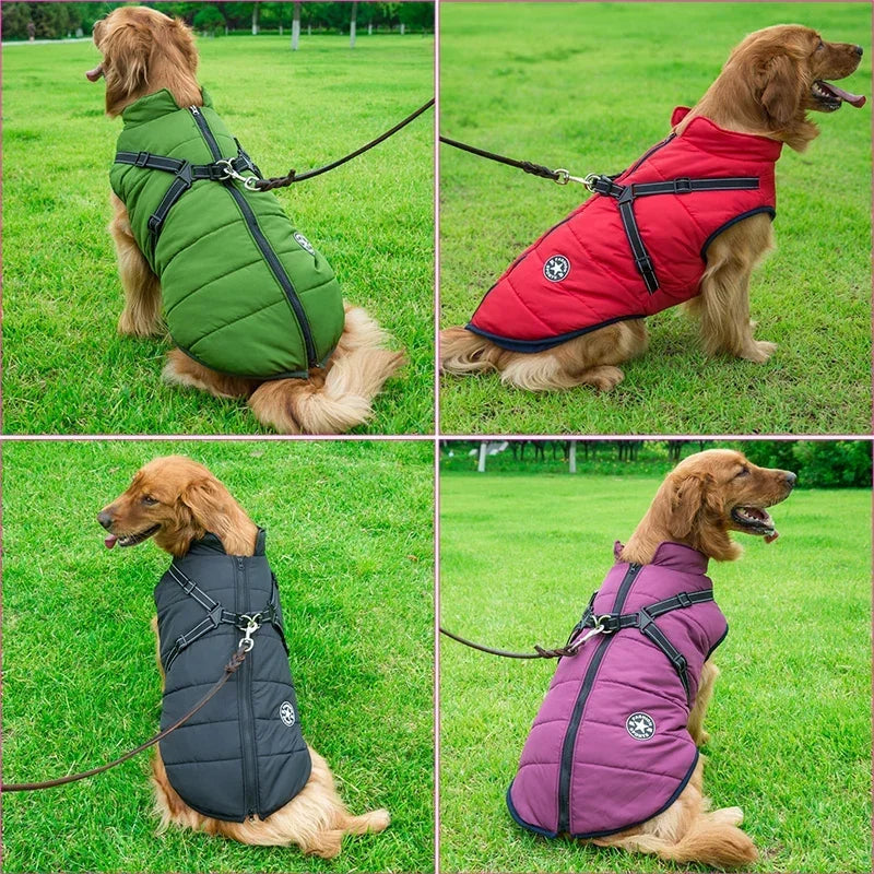 Winter Warm Waterproof Dog Jacket with Harness