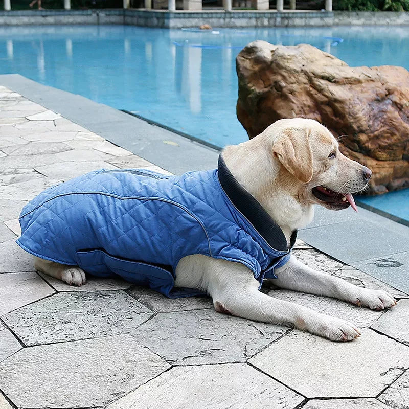 Quilted Outdoor Dog Jacket