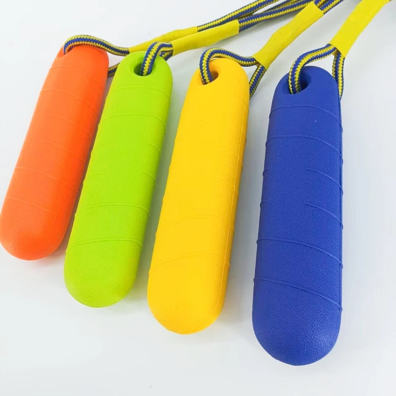 Floating Dog Training Stick