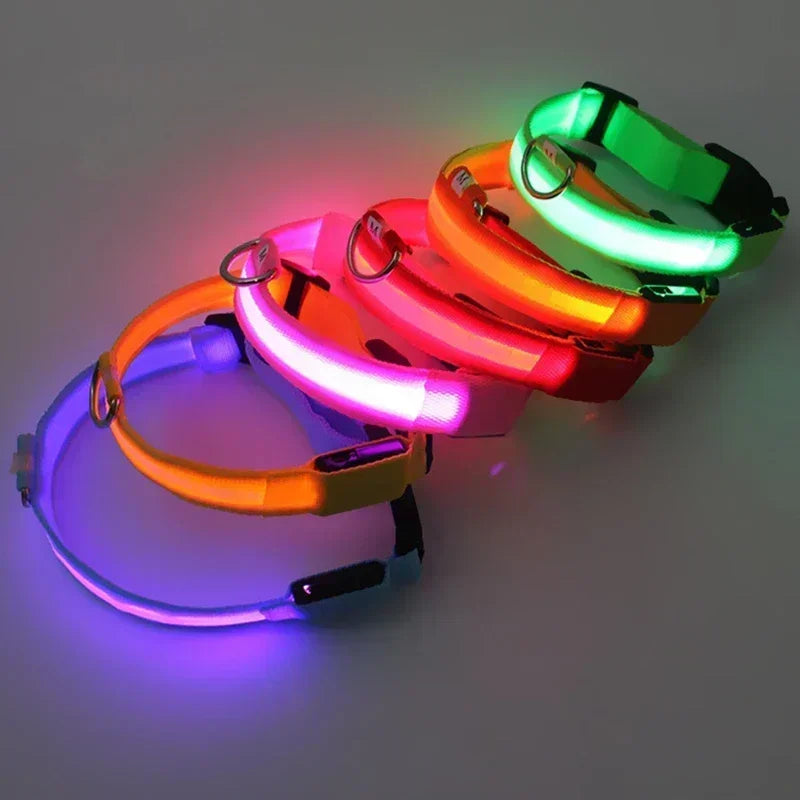 LED Dog Collar