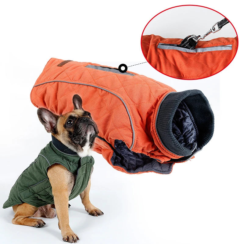 Quilted Outdoor Dog Jacket