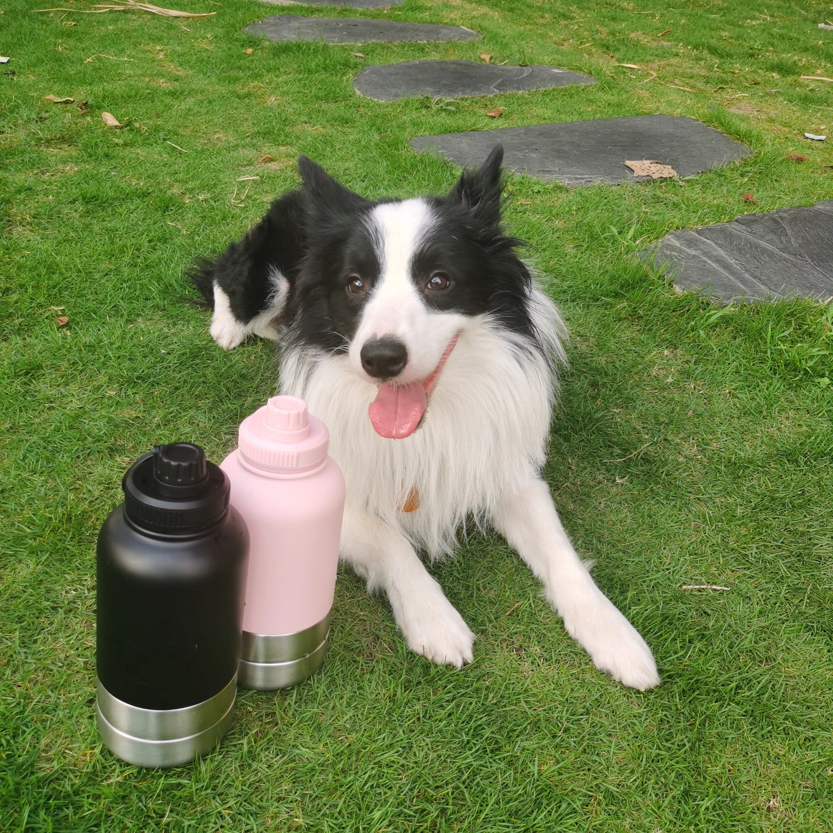 3 in 1 Stainless Steel Dog Travel Bottle 32oz