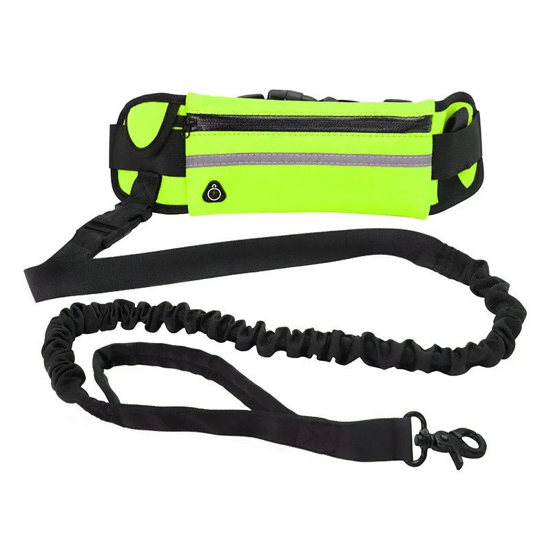 Hands-Free Dog Running Leash