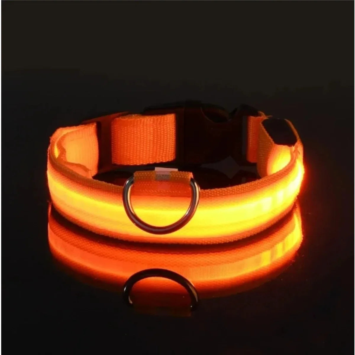 LED Dog Collar